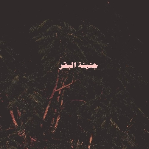 جنينة البقر